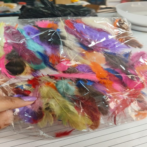 Multi color feathers